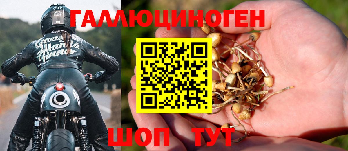 как найти   Вход с VPN  Лесозаводск  Галлюциногенные грибы MAGIC MUSHROOMS 